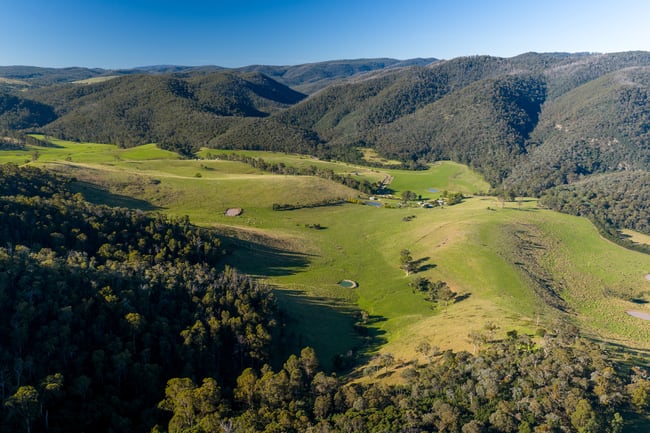 1551 Gelantipy Road Murrindal VIC 3885