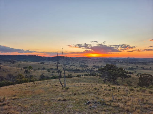 1887 Queens Pinch Road Mudgee NSW 2850 1887 Queens Pinch Road Mudgee NSW 2850
