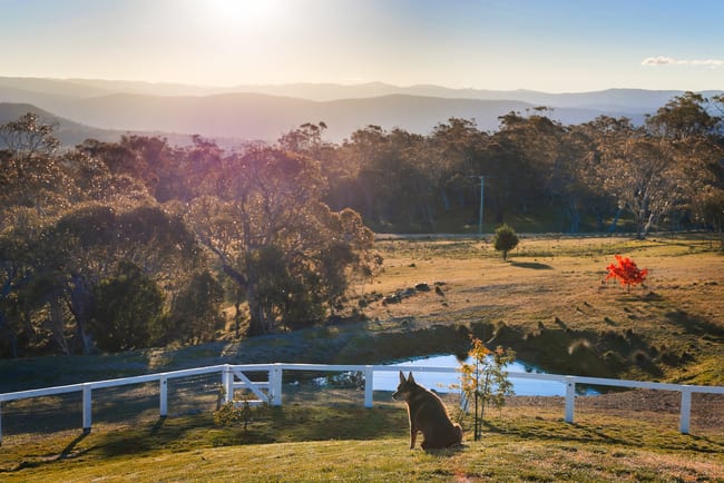 357 Old Settlers Road Jindabyne NSW 2627
