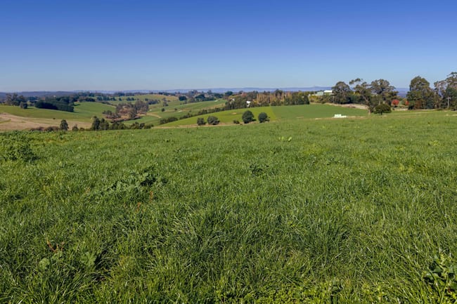 2230 Main Neerim Road Neerim South VIC 3831 2230 Main Neerim Road Neerim South VIC 3831