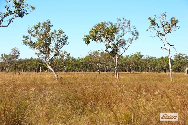 Fred Harvey Road Robin Falls NT 0822
