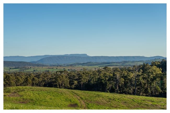 420 Bradys Plain Road Parkham TAS 7304