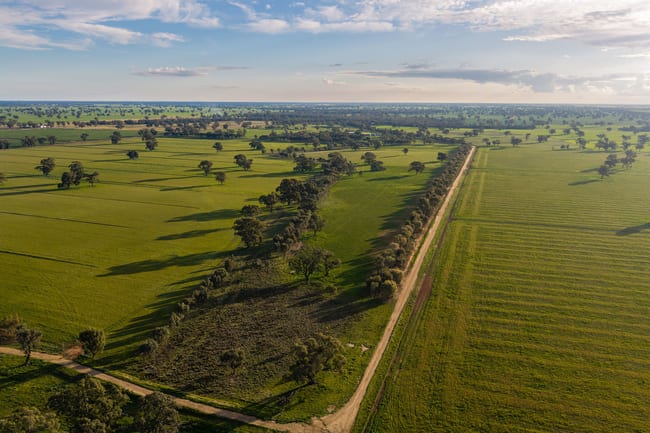 1484 Centre Road Moama NSW 2731 1484 Centre Road Moama NSW 2731