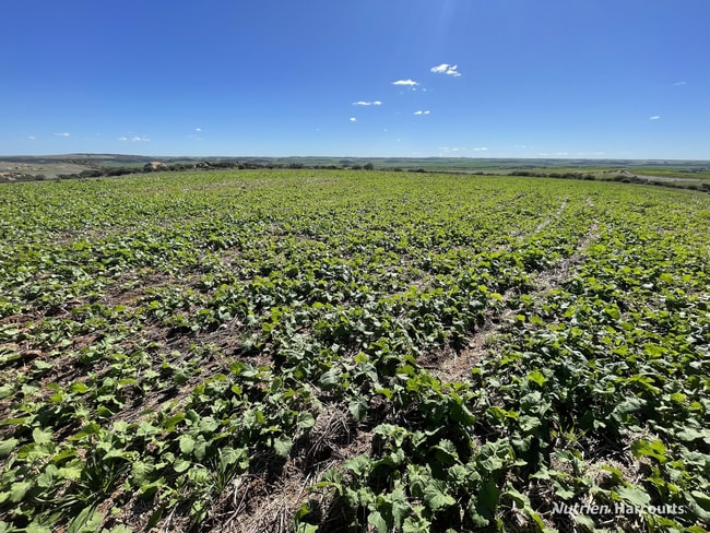 Lot 65 Forrester Road Mount Erin WA 6532