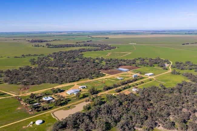 'Whittier Park' 2924 Barham Road Deniliquin NSW 2710 'Whittier Park' 2924 Barham Road Deniliquin NSW 2710