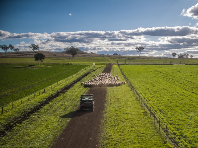 4500 Purlewaugh Road Purlewaugh NSW 2357