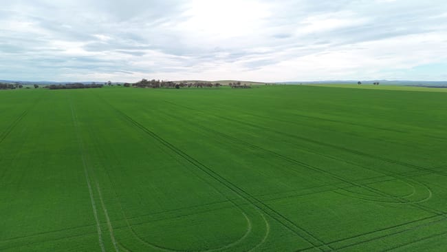 'Hillview' Wilkins Highway Gladstone SA 5473