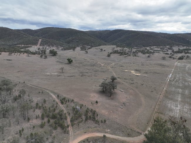 Lot 25 Bruxner Way Mingoola NSW 2372