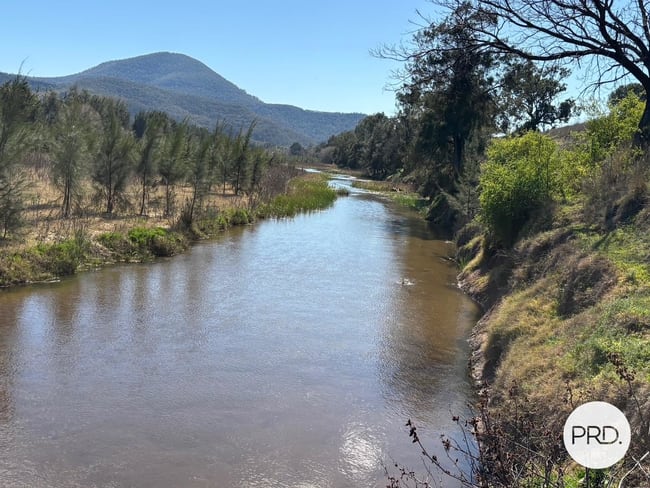 560 Mt Dangar Road Baerami NSW 2333 560 Mt Dangar Road Baerami NSW 2333