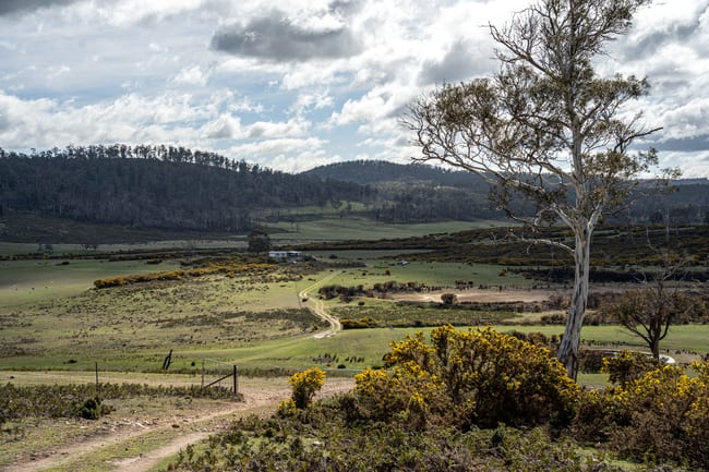 'East Dundee' Stonehenge Road Whitefoord TAS 7120