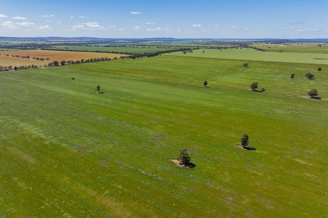 584 Willows Road Ardlethan NSW 2665 584 Willows Road Ardlethan NSW 2665