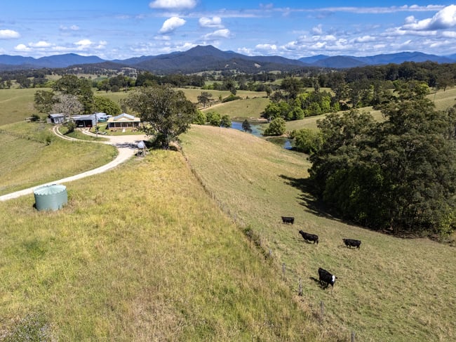 221 Lower Buckra Bendinni Road Buckra Bendinni NSW 2449