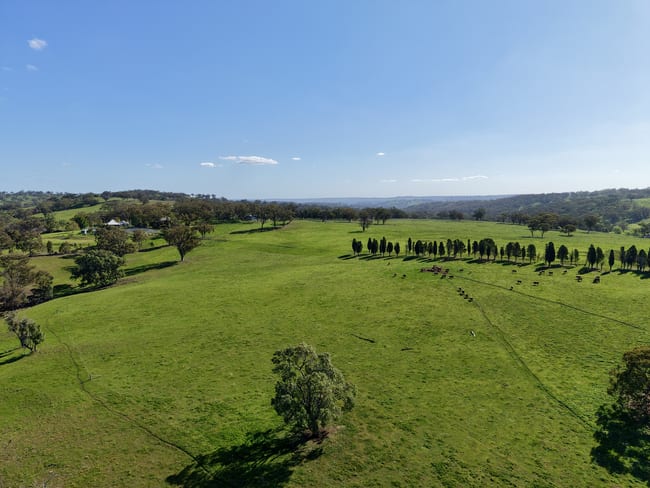 "Willunga" 700 Willunga Road Cassilis NSW 2329
