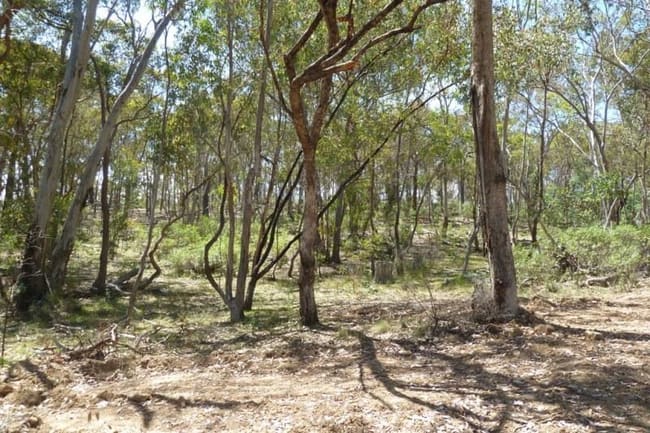 Windeyer NSW 2850