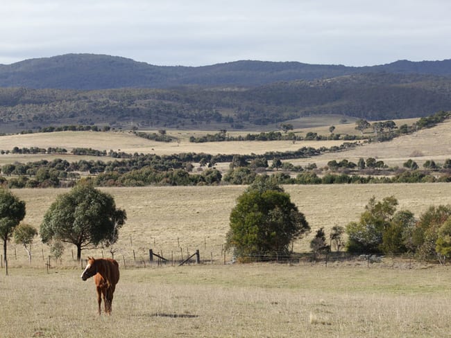 438 Plains Road Hoskinstown NSW 2621
