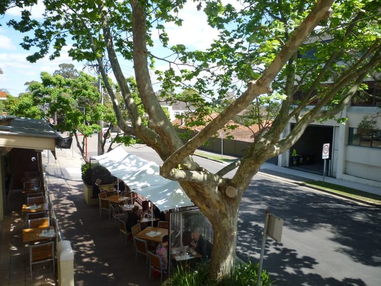 Click to view all images 1/376 Pacific Highway Crows Nest NSW 2065 - Image 1