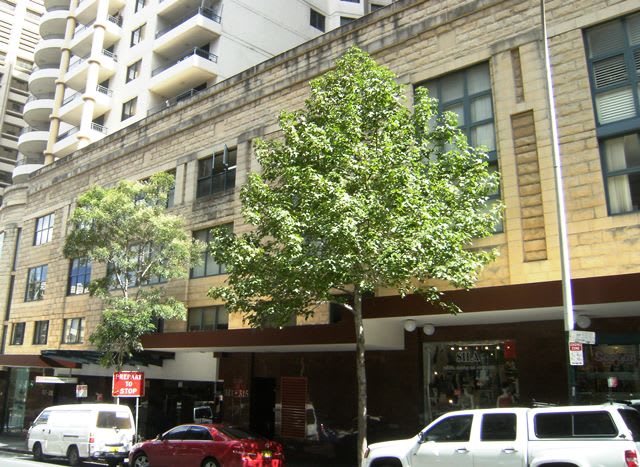 Click to view all images Level 5/311 Castlereagh Street Sydney NSW 2000 - Image 1