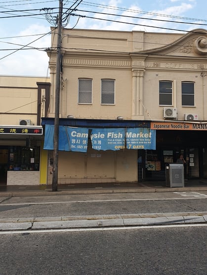 191 Beamish Street Campsie NSW 2194 - Image 1