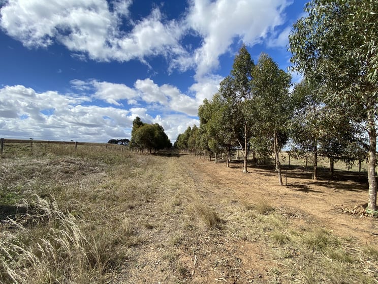 Click to view all images 797 Ryans Lane Melton VIC 3337 - Image 1