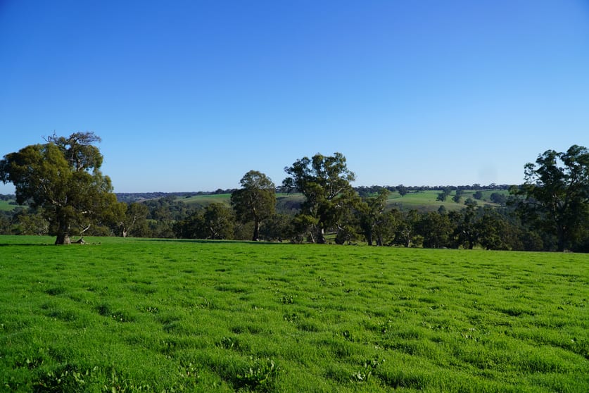 Click to view all images 204 Harrow-Clear Lake Road Harrow VIC 3317 - Image 1