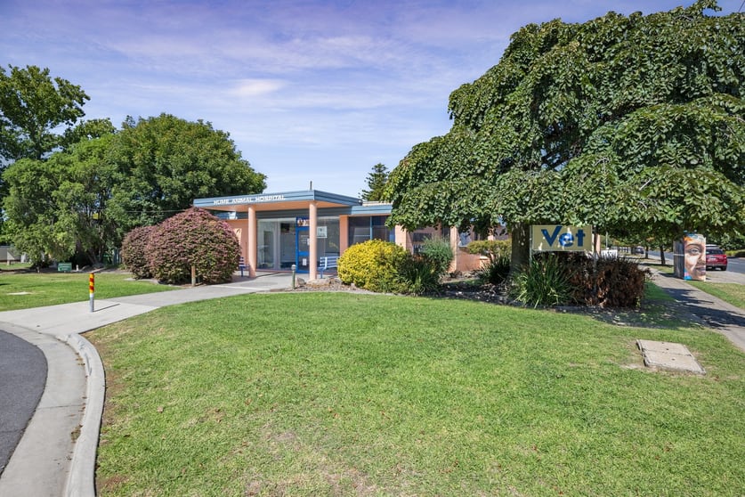 Click to view all images 337 Swan Street North Albury NSW 2640 - Image 1