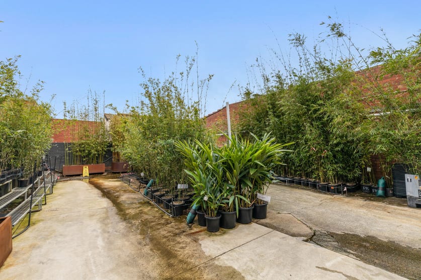 Click to view all images 2 Duffy Street Burwood VIC 3125 - Image 3