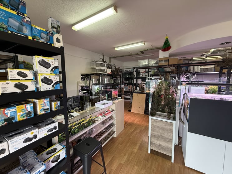 Click to view all images Shop 3/220 The Entrance Road Erina NSW 2250 - Image 3