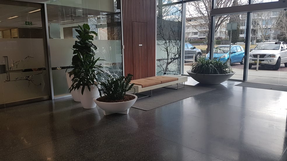3/55 Wentworth Avenue Kingston ACT 2604 - Image 2