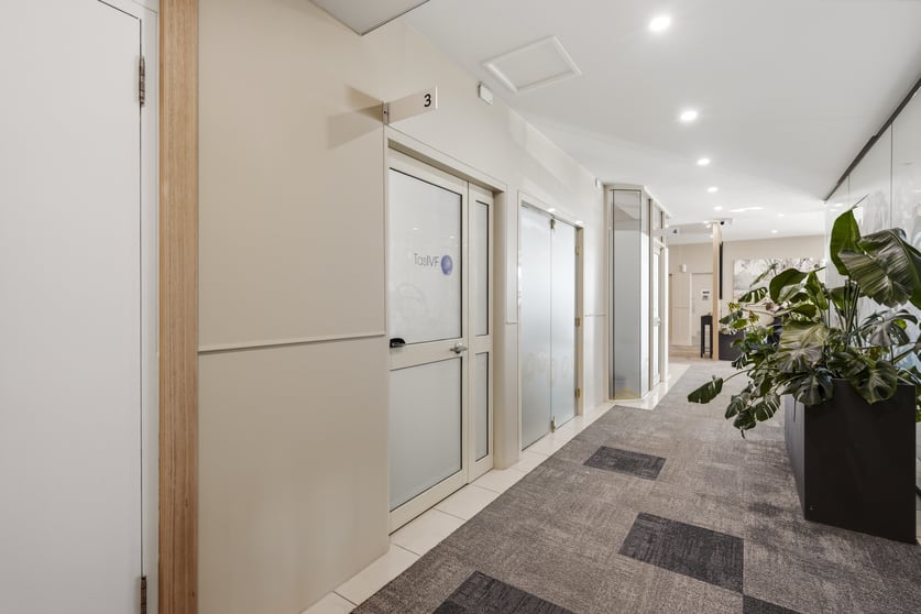 Ground Floor, Tenancy 3/11 High Street Launceston TAS 7250 - Image 3