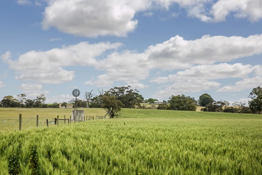 Click to view all images Mundulla SA 5270 - Image 3