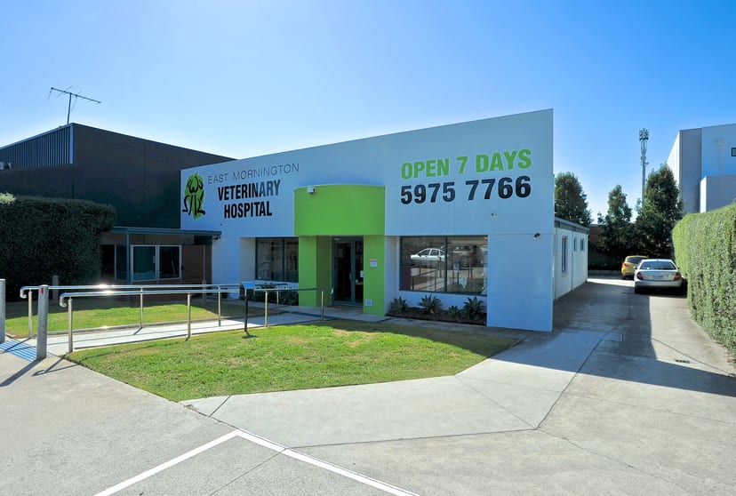 Click to view all images 51 Mornington Tyabb Road Mornington VIC 3931 - Image 1