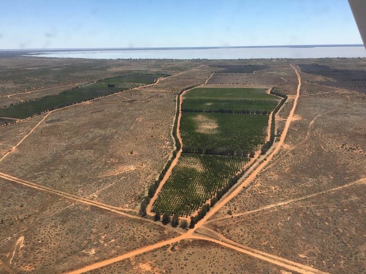 Click to view all images 576 Menindee Road Menindee NSW 2879 - Image 2