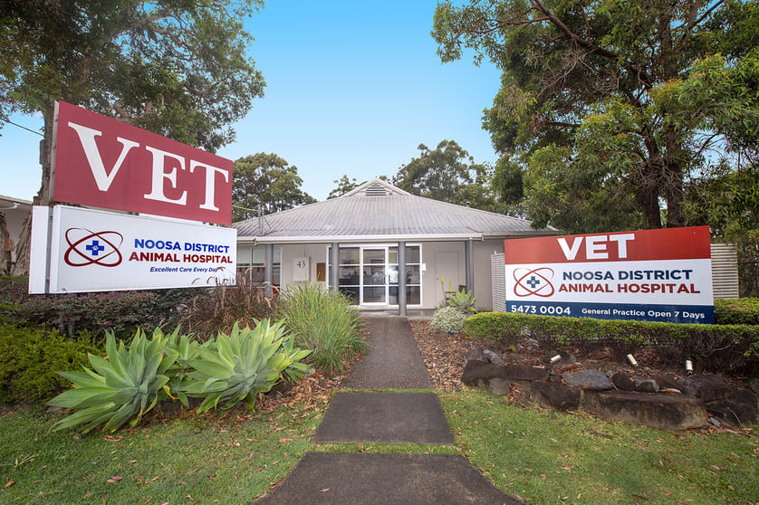 Click to view all images Unit 3/41-43 Rene Street Noosaville QLD 4566 - Image 1