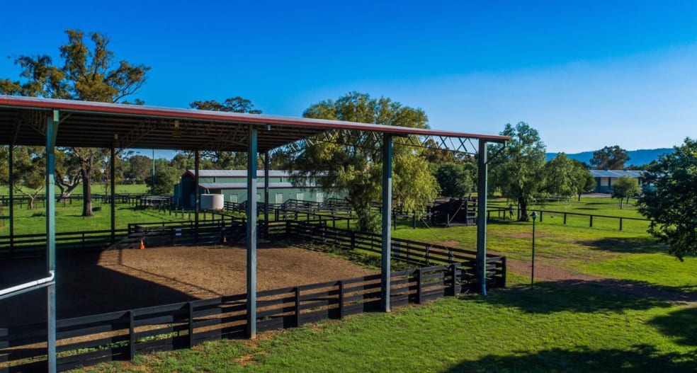 2 Flemington Drive Scone NSW 2337 - Image 3