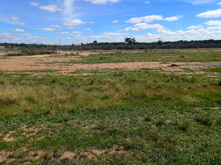 Click to view all images Lot/36 Defence Drive Mulwala NSW 2647 - Image 1