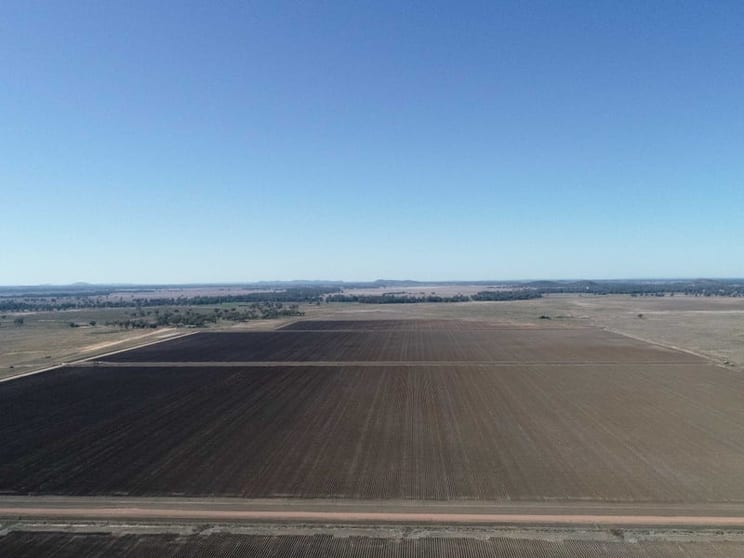 Click to view all images Borambil Station, Lachlan Valley Way Condobolin NSW 2877 - Image 1