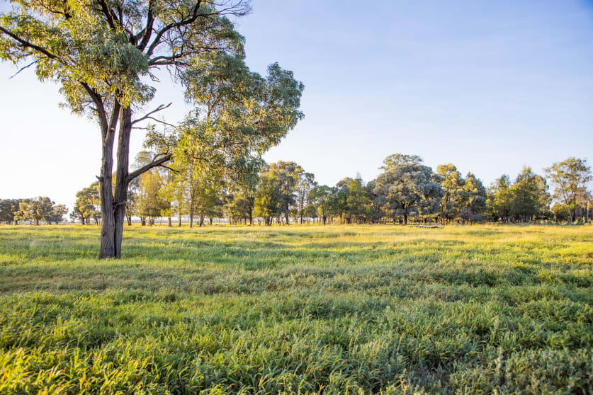 Click to view all images 2155 Crowders Creek Road Moonie QLD 4406 - Image 3