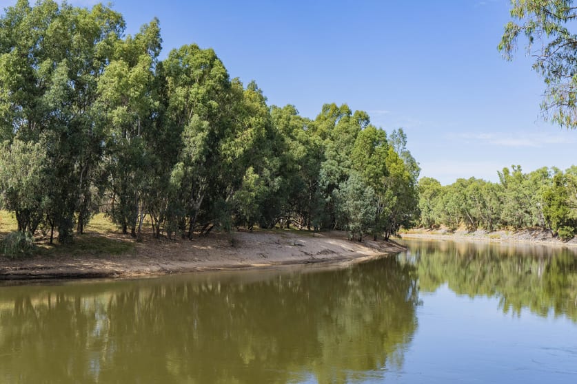 Flinders Park – 50 Whittle Street Wagga Wagga NSW 2650 - Image 3