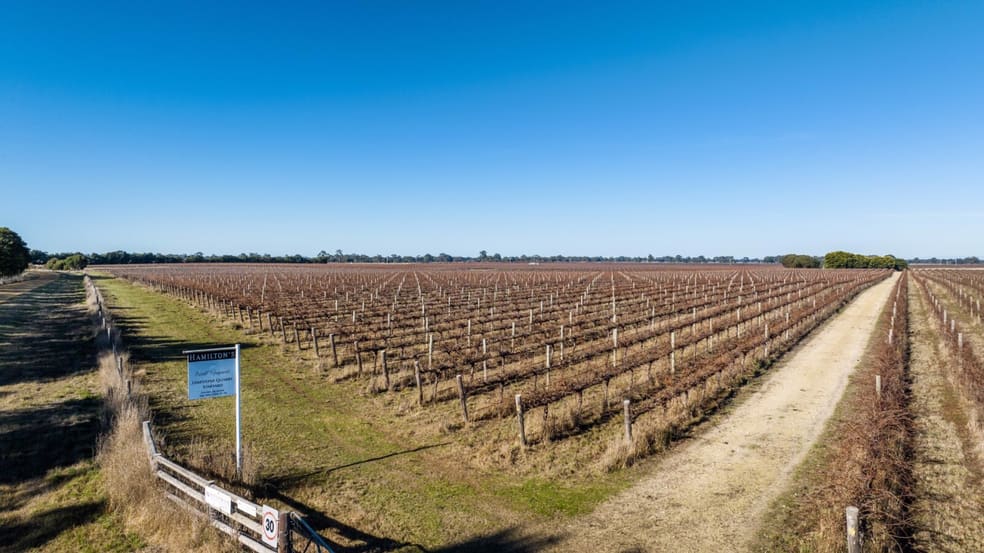 Click to view all images Limestone Quarry Vineyard 718 Rochow Wrays Road Koppamurra SA 5271 - Image 2
