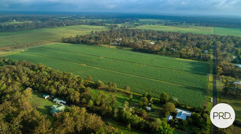 Click to view all images 50 Bosel Road Tinana QLD 4650 - Image 1