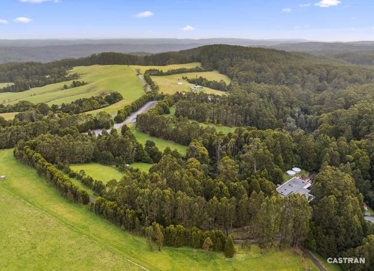 Click to view all images 360 Phillips Track Weeaproinah VIC 3237 - Image 3