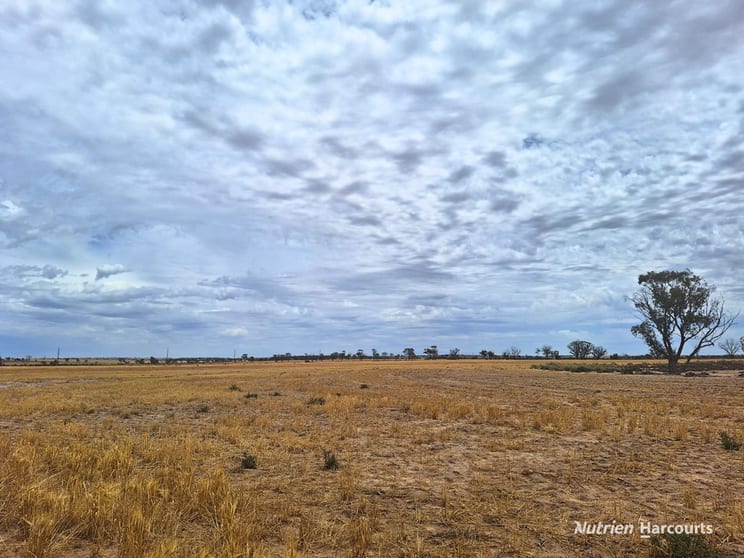 . Dowdings Kellerberrin WA 6410 - Image 1