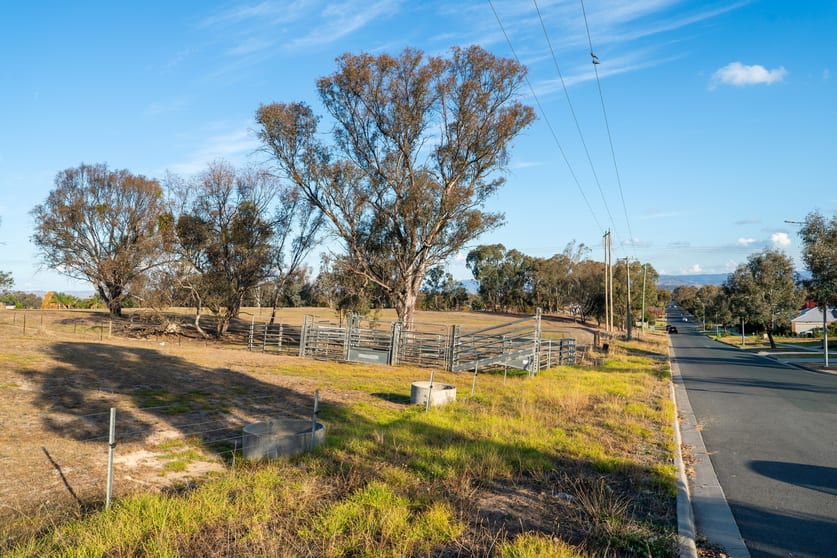 Click to view all images 700 Kemp Street Springdale Heights NSW 2641 - Image 2