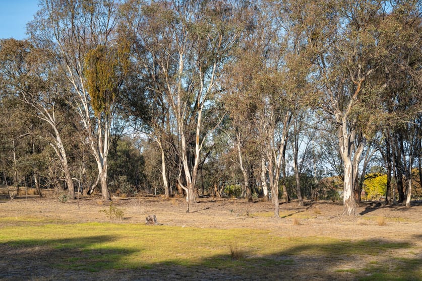 Click to view all images 700 Kemp Street Springdale Heights NSW 2641 - Image 3
