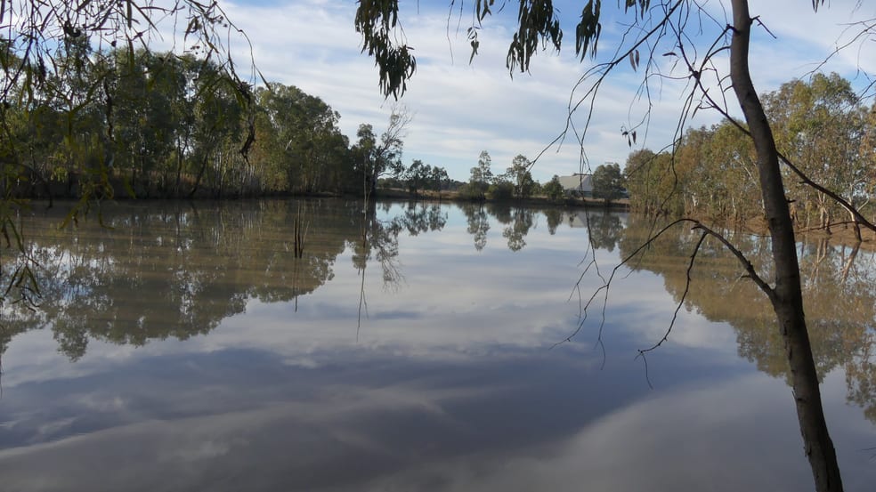 Click to view all images Warren NSW 2824 - Image 3