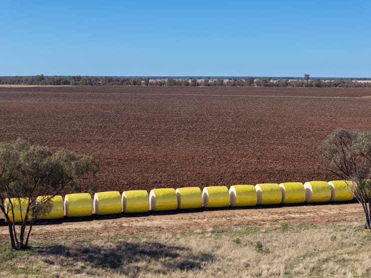 Click to view all images 6210 Carnarvon Highway Thallon QLD 4497 - Image 5