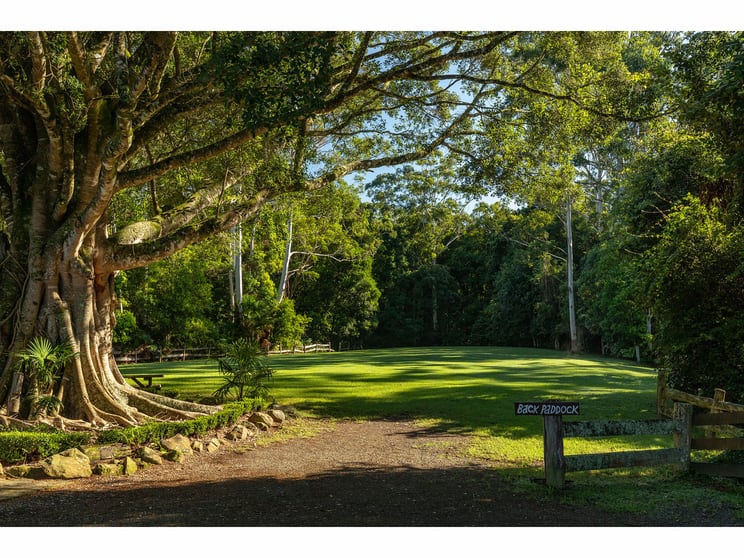 Click to view all images 115 Herivels Road Wootton NSW 2423 - Image 1