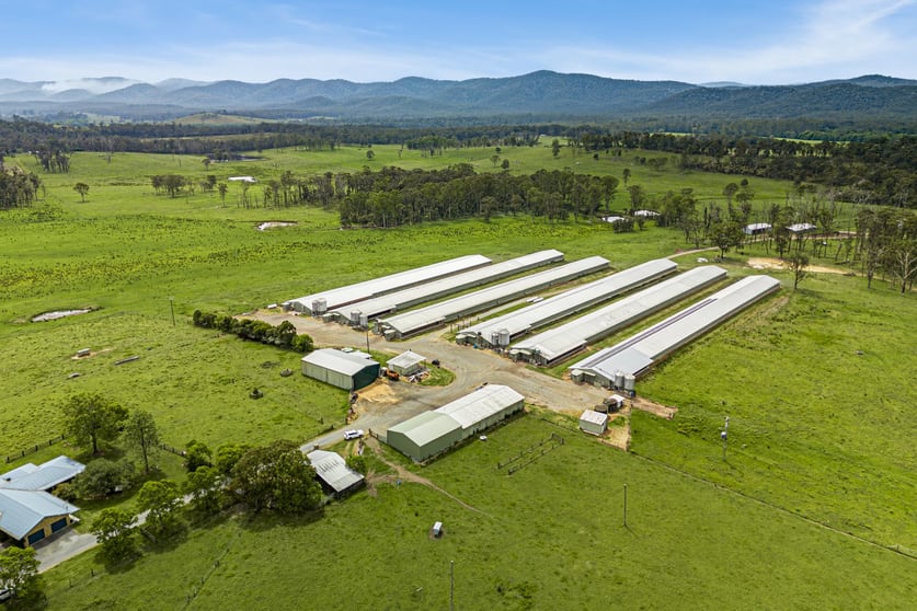 438 Markwell Road Bulahdelah NSW 2423 - Image 1