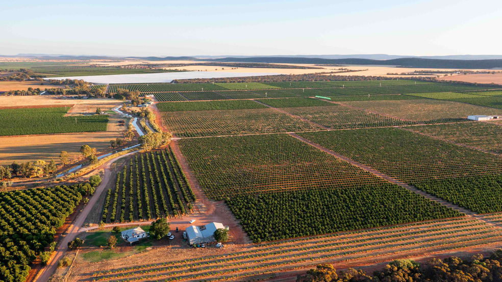 Nericon NSW 2680 - Image 2