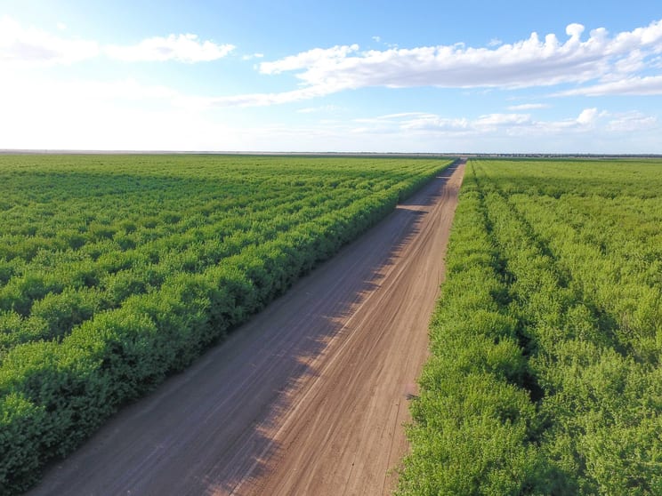 Click to view all images Hillston NSW 2675 - Image 2